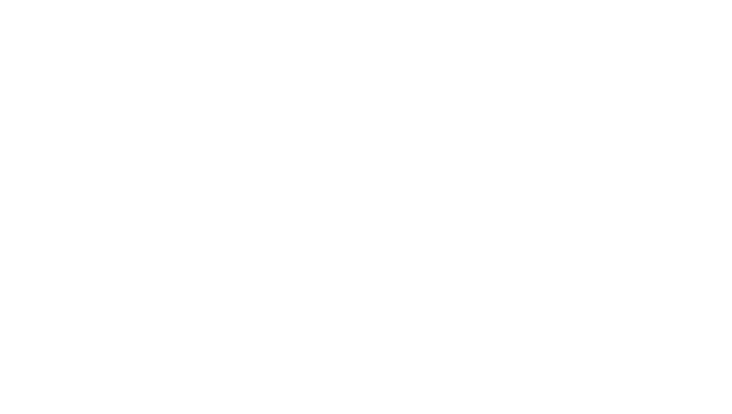 As Seen On News 12